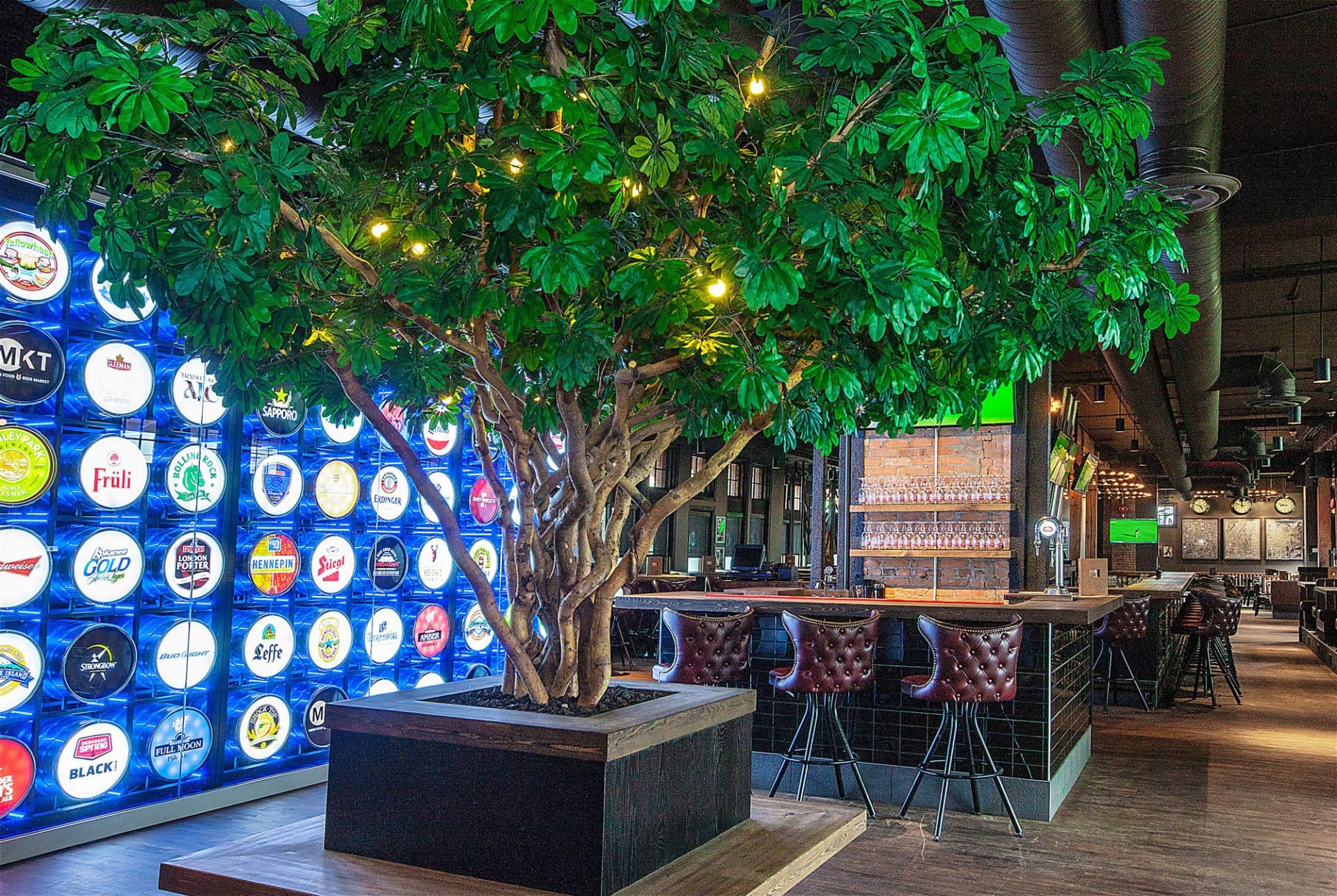 Wine Wednesday - Image 1